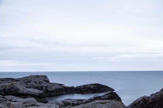 732-536x354.jpg