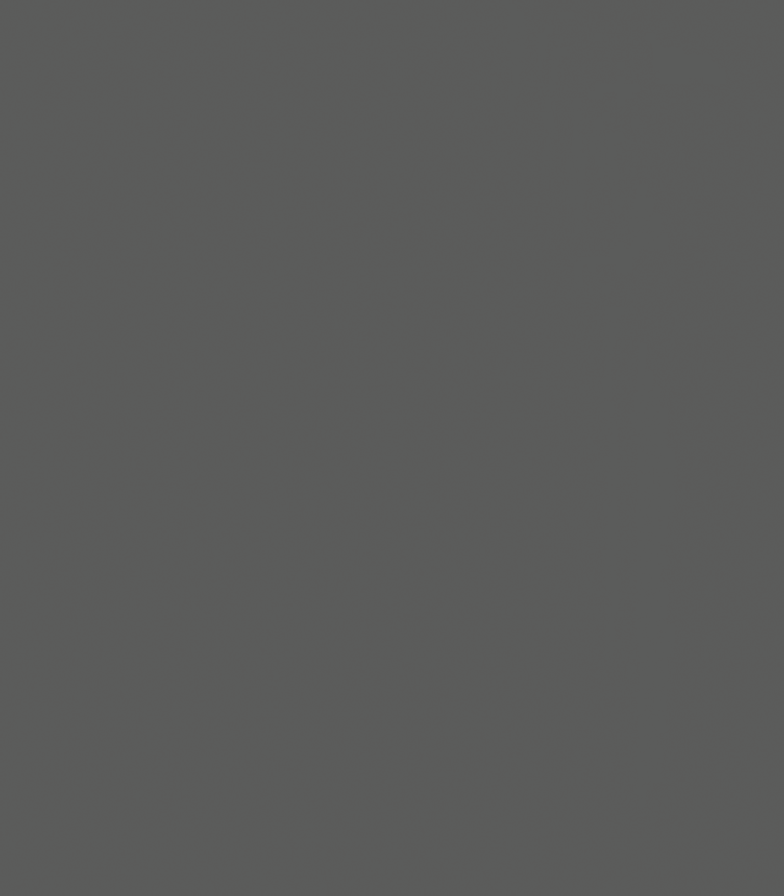 Nobilia Frontfarbe 491 Lack, Schiefergrau / Premium matt 